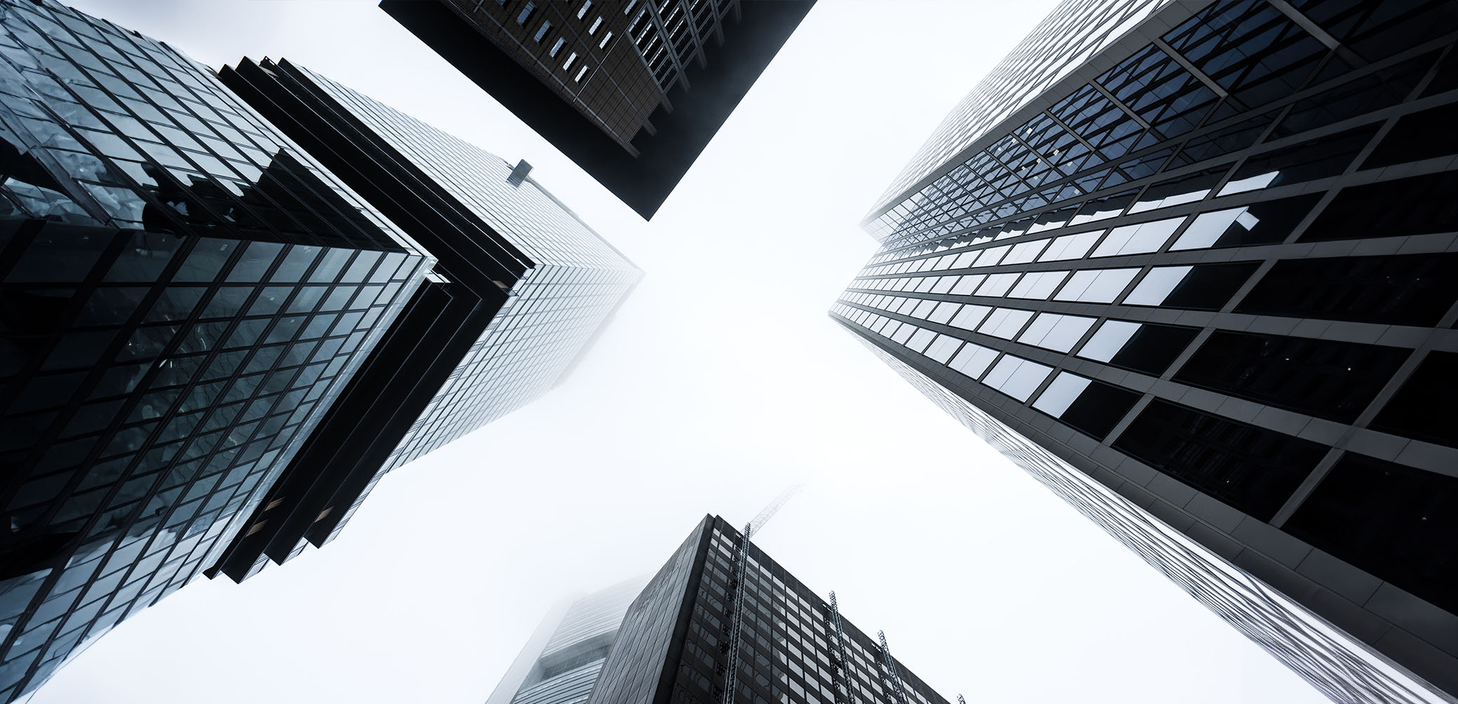 Square-Circle-Blush-Teal-Compressed-Wide